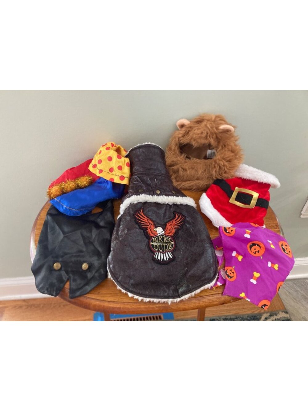 Set Of 6 Dog Costumes: Biker Santa Clown Pumpkin Lion Mane & Black Vest Sz S